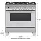 Fisher & Paykel 36" Freestanding Classic Dual Fuel Ranges in Stainless Steel, , large