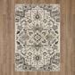 Karastan Cleo R1076 5" 3" X 8" Light Grey Area Rug, , large