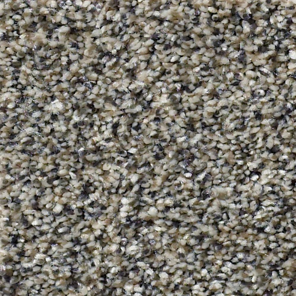 Shaw Within Reach III Carpet in Kidskin, , large