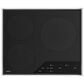 Wolf 24" Transitional Induction Cooktop in Stainless Steel, , large