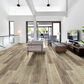 Shaw Tenacious HD Plus Accent Sable 7" x 48" Luxury Vinyl Plank, , large