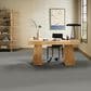 Anderson Tuftex Wyndham Estate Carpet in Pixel, , large