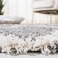 Safavieh Venus Shag VNS681J 4" x 6" Grey and Ivory Area Rug, , large