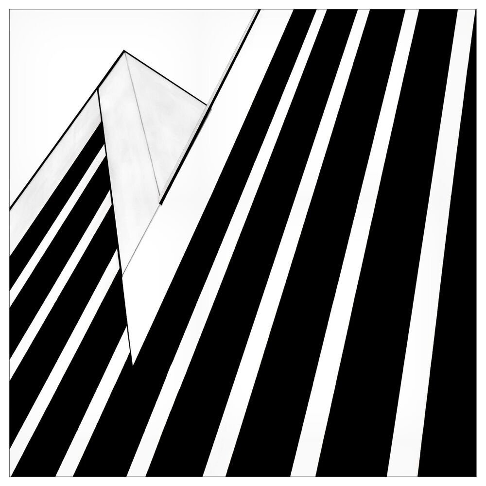 Timberlake Opposition 18" x 18" Canvas Art in Black/White, , large
