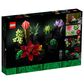 LEGO Botanicals Collection Succulents, , large