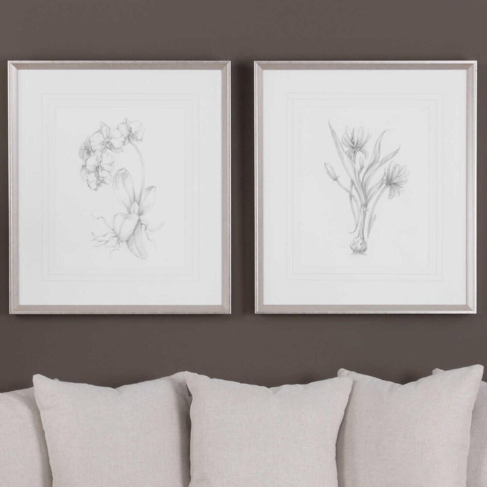Uttermost Botanical Sketches Framed Prints (Set of 2), , large
