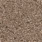 Anderson Tuftex Caress Cozy Harbor I Carpet in Tumbleweed, , large