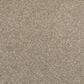 Mohawk Dynamic Quality I Carpet in Iron Clad, , large