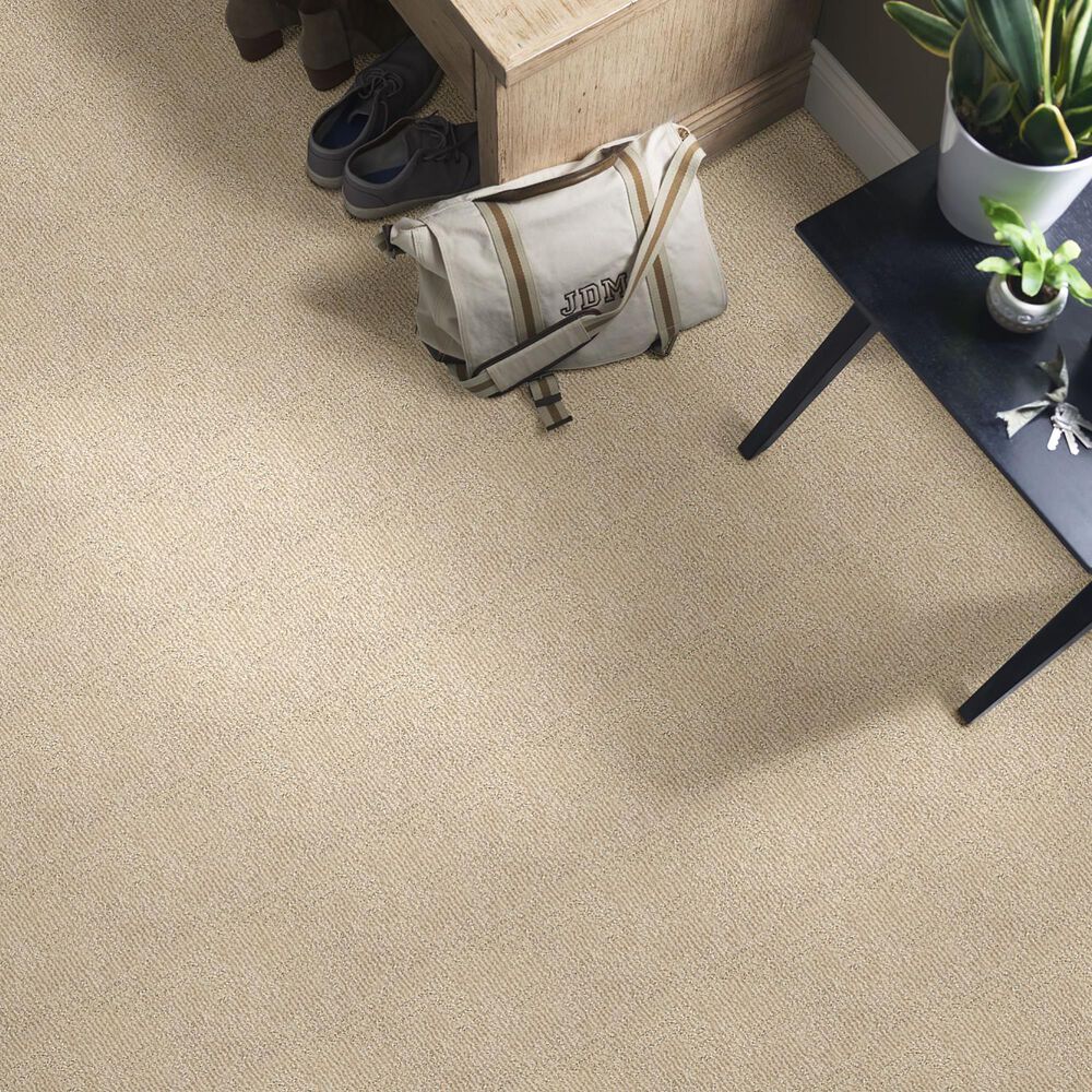 Anderson Tuftex Loredo Carpet in Parchment, , large