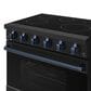 Thor Kitchen Gordon Ramsay 6 Cu. Ft. Professional Freestanding Electric Range with Blue Handle Kit in Black, , large