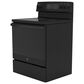 GE Appliances 2-Piece Kitchen Package with 30"" Electric Range and 1.9 Cu. Ft. Microwave Oven in Black, , large