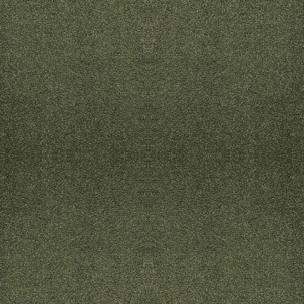 Masland Indulgence Carpet in Bilbao, , large