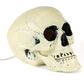 The Gerson Company 3-Piece Lighted Skull and Skeleton Hands in White, , large
