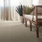 Shaw Chase Carpet in Briarwood, , large