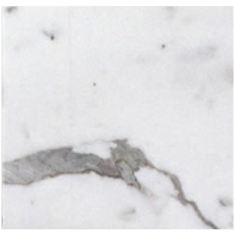 MS International Statuary Venato 12" x 12" Polished Natural Stone Tile, , large