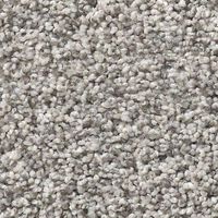 Swatch of Neutral Toned Tan and Brown Textured Carpet