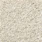 Shaw Find Your Comfort TT II Carpet in Champagne Toast, , large