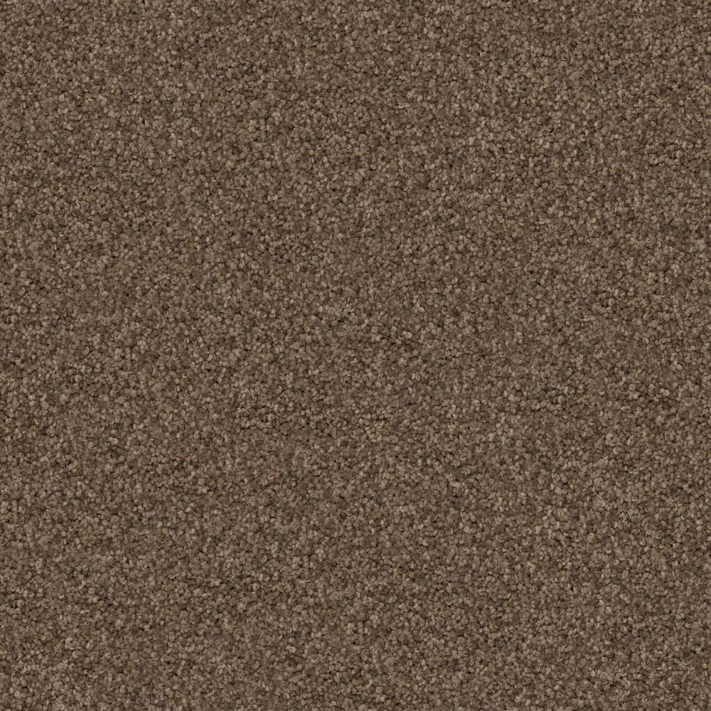 Dixie Home Guard Carpet in Basset, , large