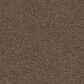 Dixie Home Guard Carpet in Basset, , large