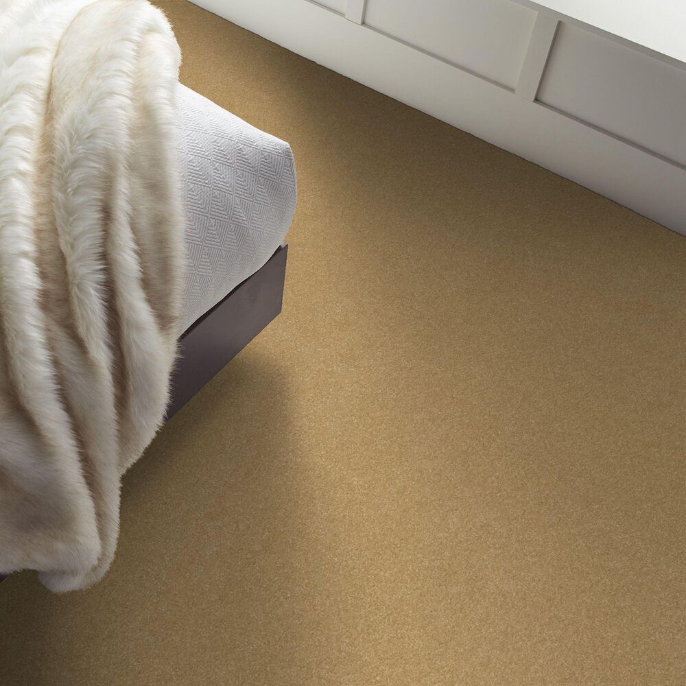 Shaw Hard At Play Iii Carpet in Honeycomb, , large