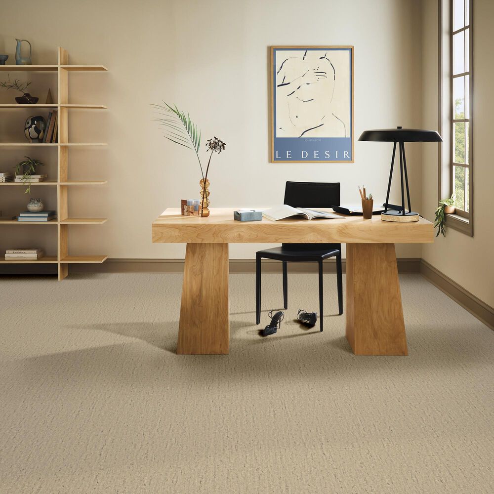 Anderson Tuftex Sensate Carpet in Aspire, , large