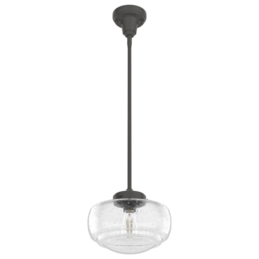 Hunter Saddle Creek 10&quot; 1-Light Pendant with Clear Seeded Shade in Noble Bronze, , large