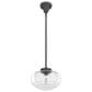 Hunter Saddle Creek 10" 1-Light Pendant with Clear Seeded Shade in Noble Bronze, , large