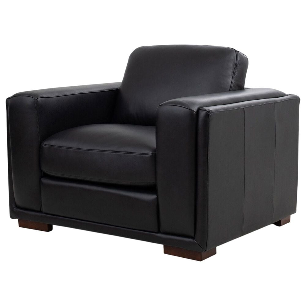 Italiano Furniture Luca Accent Chair in Black, , large