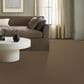 Anderson Tuftex Fabulous Carpet in Nutshell, , large