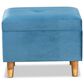 Baxton Studio Elias Storage Ottoman in Sky Blue, , large
