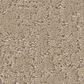 Philadelphia Canvas Comfort Carpet in Walk on The Beach, , large