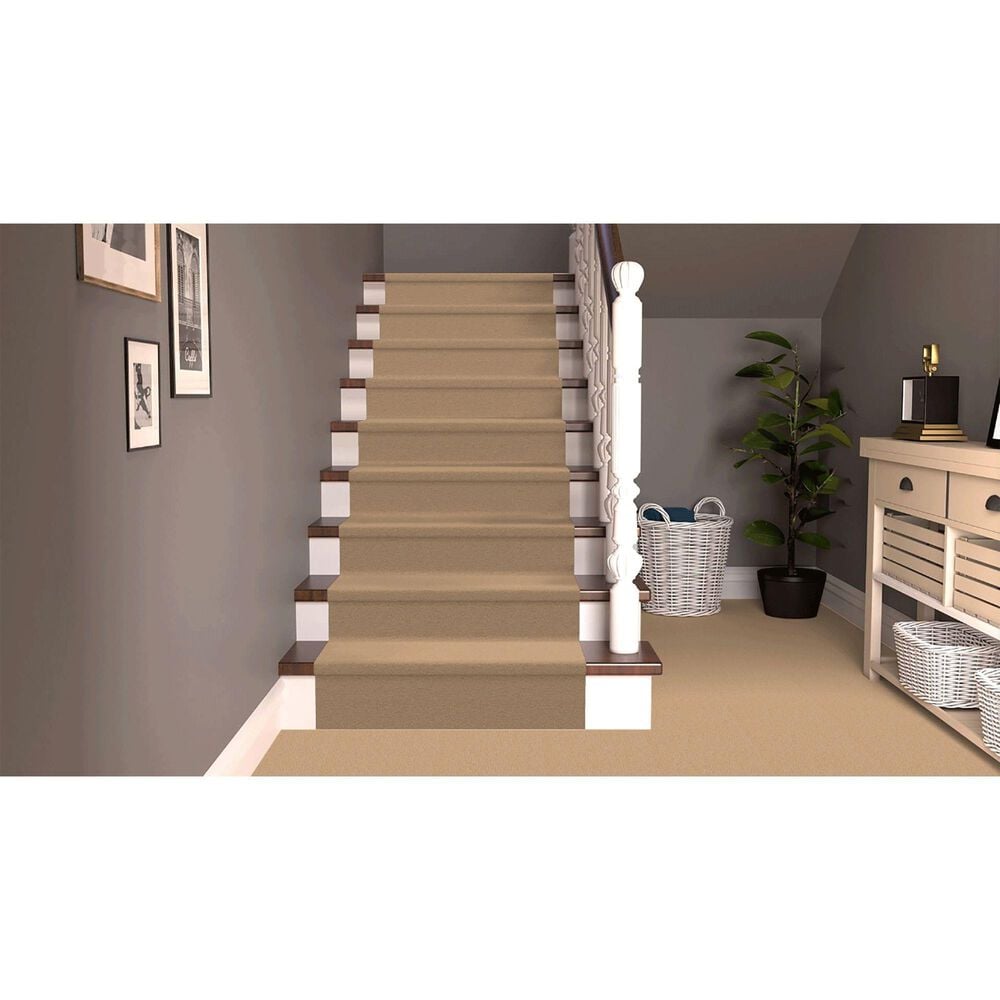 Dixie Home Neverland Carpet in Maple Valley, , large
