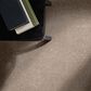 Philadelphia Delicate Feel II Carpet in Mocha, , large