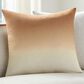 Surya Hyrum 20" Square Throw Pillow in Medium Brown, Brown, Tan and Beige, , large