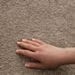 Philadelphia Champagne Taste I Carpet in Canoe, , large