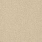 Shaw Tonal Comfort Ii Carpet in Sun Kissed, , large