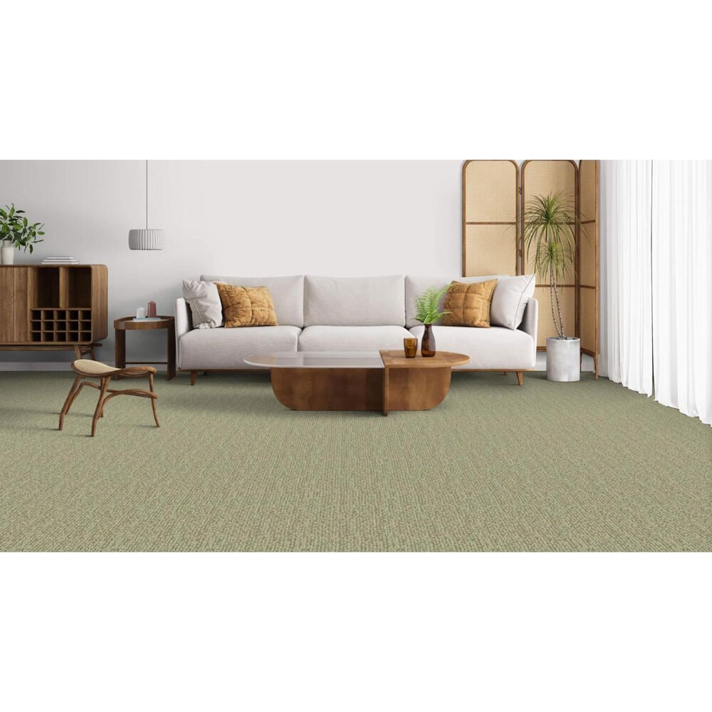 Masland Mesa Verde Carpet in Fairmont, , large