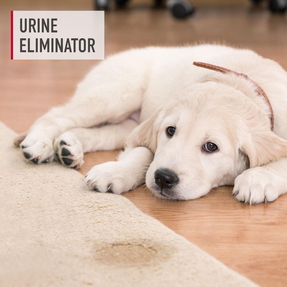 Hoover 22 Oz. Solution Paws and Claws Urine Eliminator in White, , large