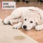 Hoover 22 Oz. Solution Paws and Claws Urine Eliminator in White, , large