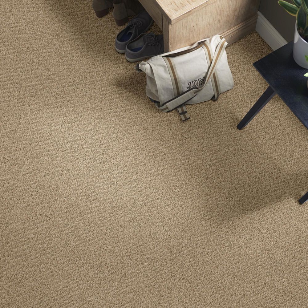 Shaw Detailed Statement Loop Carpet in Twig, , large