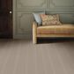 Anderson Tuftex Laine Carpet in Driftwood, , large