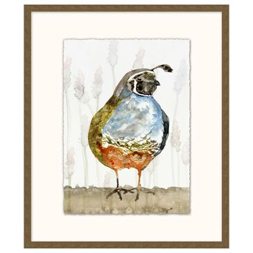 Wendover Art Colorful Quail 2 25" x 21" Frame Art in Rustic Tan, , large