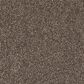 Mohawk Quality Life Carpet in Lite Espresso, , large