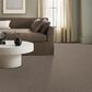 Shaw Bold Move Plus Carpet in Rattan, , large