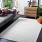 Safavieh Vision 4" x 6" Ivory Area Rug, , large