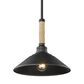 Golden Lighting Journey 1-Light Pendant in Natural Black, , large