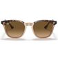 Ray-Ban Rayban Hawkeye Havana Transparent Brown 52", , large