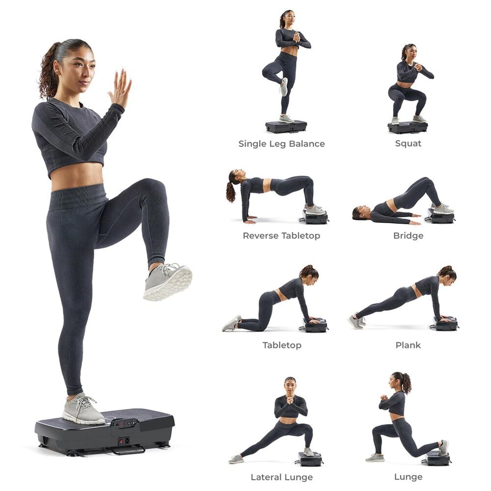 Sunny Health &amp; Fitness Fitboard 2D Vibration Platform in Grey and Black, , large