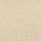 Masland Miami Carpet in Dunes, , large