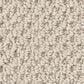 Anderson Tuftex Gracious Carpet in Alabaster, , large